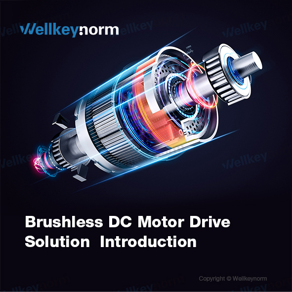 Wellkeynorm's Brushless Motor solution